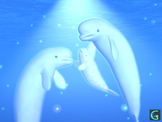 CG of dolphin